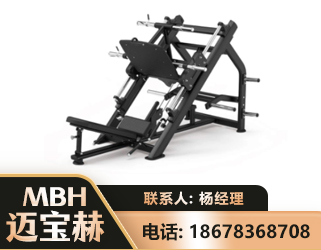 鸡西45°倒蹬训练器