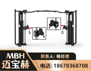 鸡西大飞鸟训练器